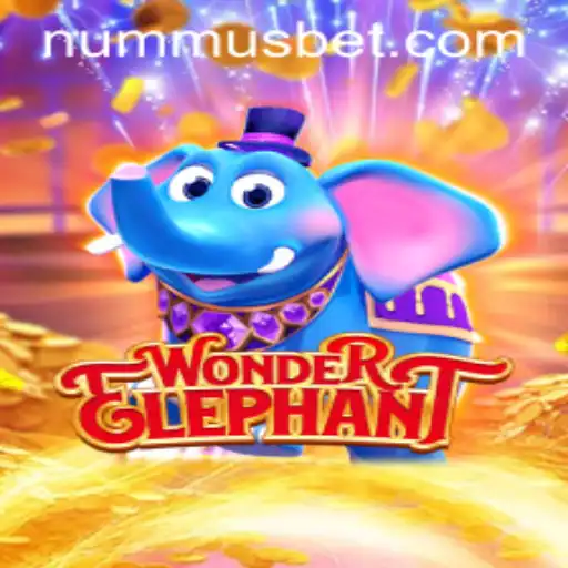 The Enchanting World of WonderElephant: Exploring the Intrigues of 766 BET